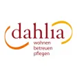 dahlia Emmental
